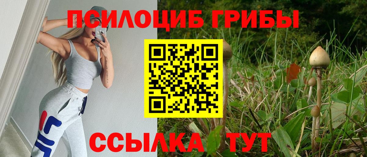 Десногорск  Галлюциногенные грибы мухоморы  Вход с VPN  Галлюциногенные грибы Cubensis 
